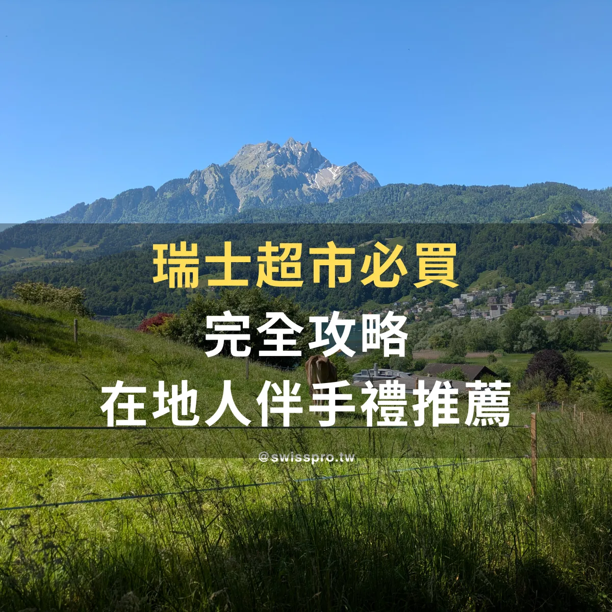 【2026 瑞士必買攻略】在地人也在買的超市伴手禮推薦：巧克力零食餅乾